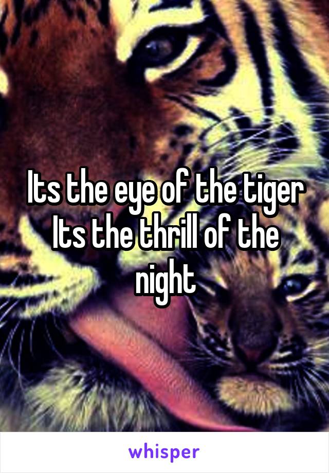 Its the eye of the tiger
Its the thrill of the night