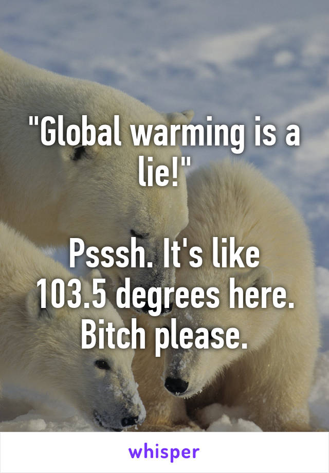 "Global warming is a lie!"

Psssh. It's like 103.5 degrees here. Bitch please.