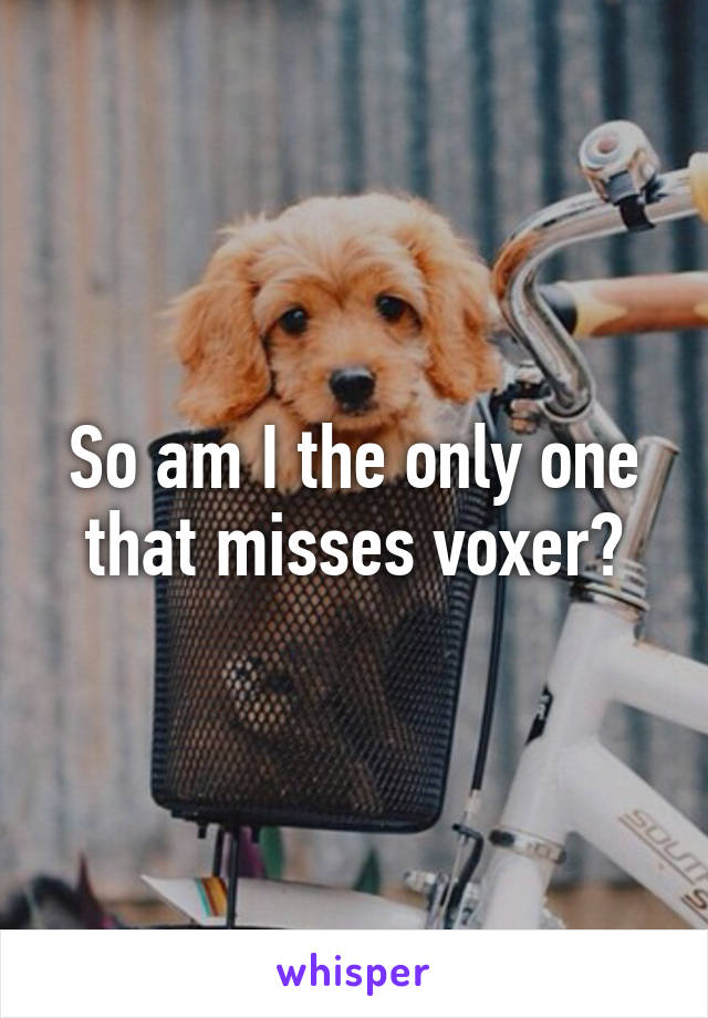 So am I the only one that misses voxer?