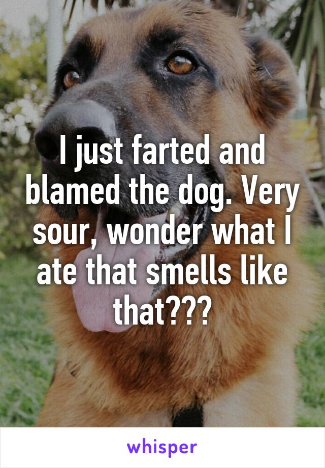 I just farted and blamed the dog. Very sour, wonder what I ate that smells like that???