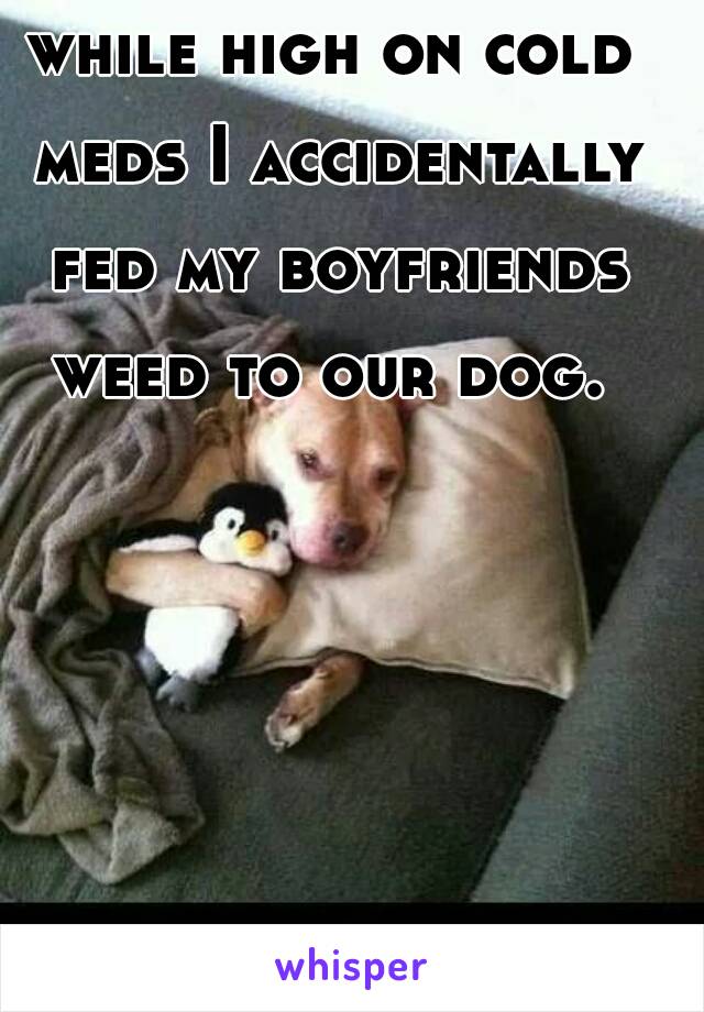 while high on cold meds I accidentally fed my boyfriends weed to our dog. 
