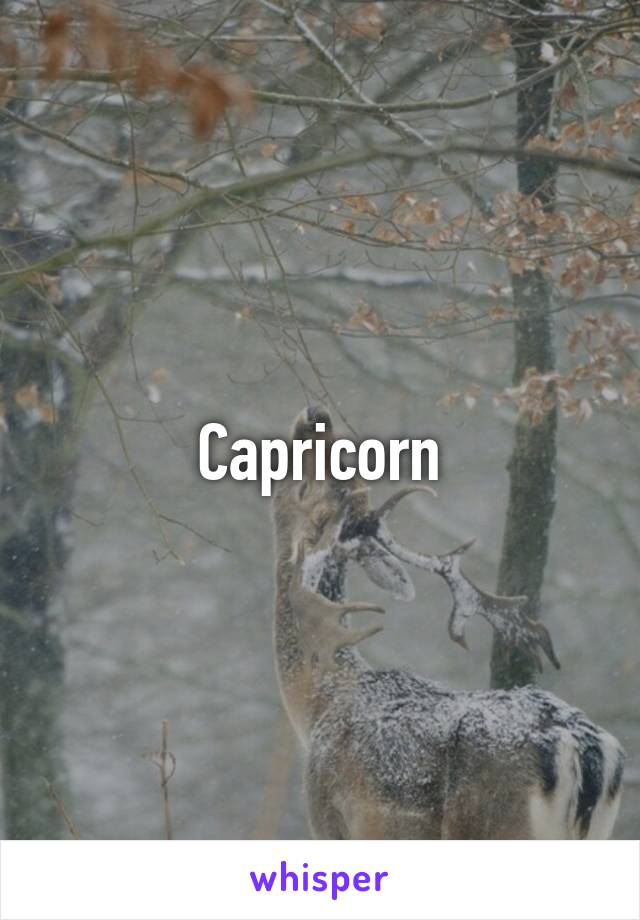 Capricorn