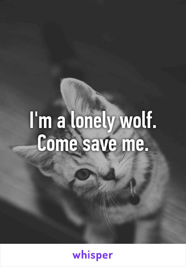I'm a lonely wolf. Come save me.
