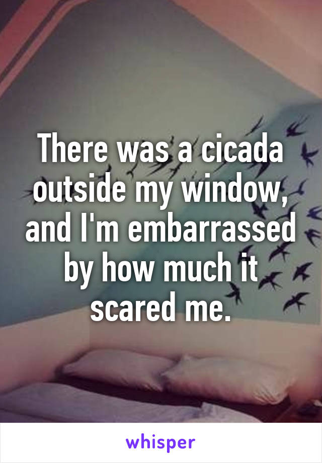 There was a cicada outside my window, and I'm embarrassed by how much it scared me.