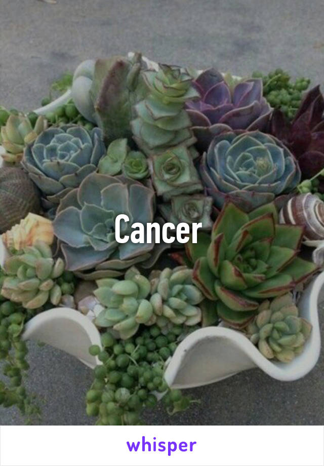 Cancer 