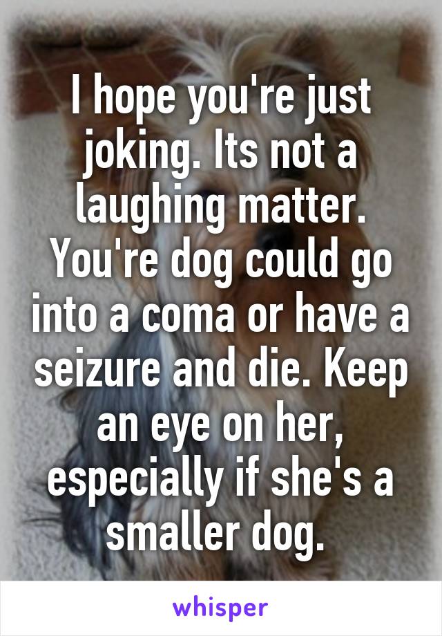 I hope you're just joking. Its not a laughing matter. You're dog could go into a coma or have a seizure and die. Keep an eye on her, especially if she's a smaller dog. 