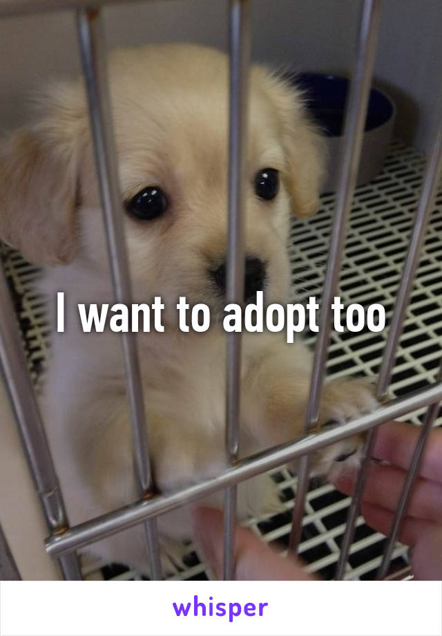 I want to adopt too