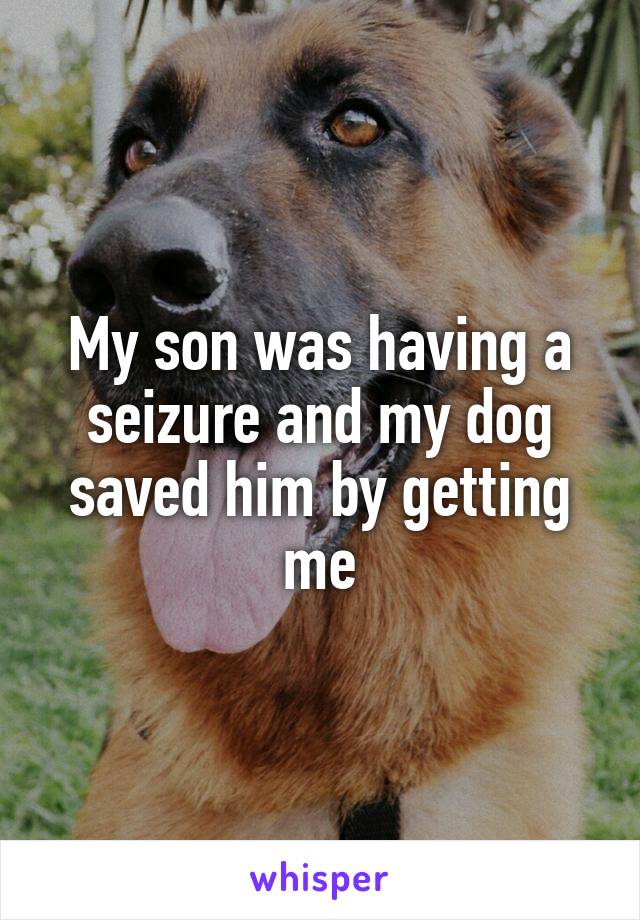 My son was having a seizure and my dog saved him by getting me
