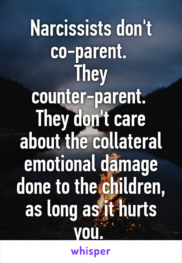 Co-Parenting With A Narcissist Meme 1
