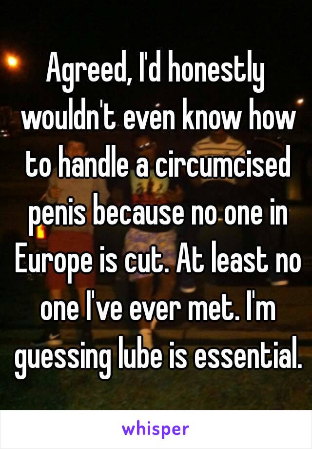 Agreed, I'd honestly wouldn't even know how to handle a circumcised penis because no one in Europe is cut. At least no one I've ever met. I'm guessing lube is essential.