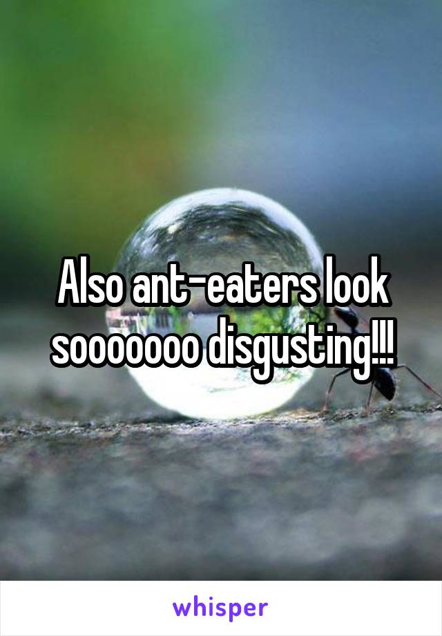 Also ant-eaters look sooooooo disgusting!!!