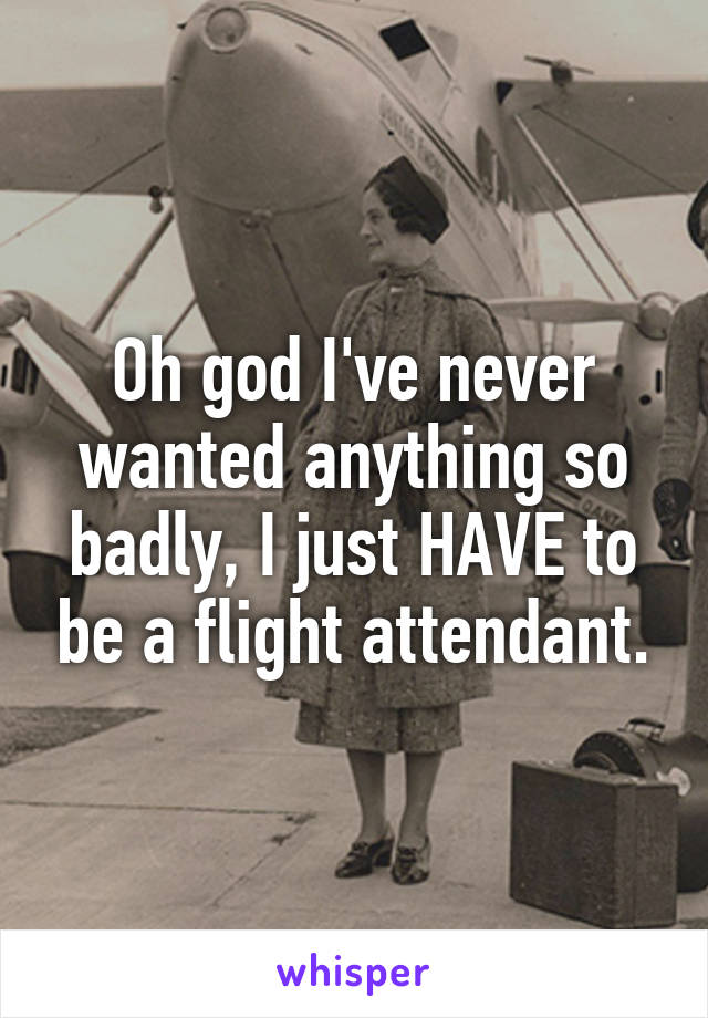 Oh god I've never wanted anything so badly, I just HAVE to be a flight attendant.