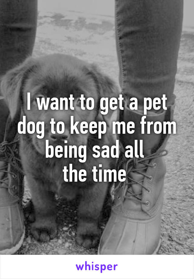 I want to get a pet dog to keep me from being sad all 
the time 