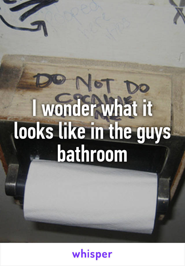 I wonder what it looks like in the guys bathroom