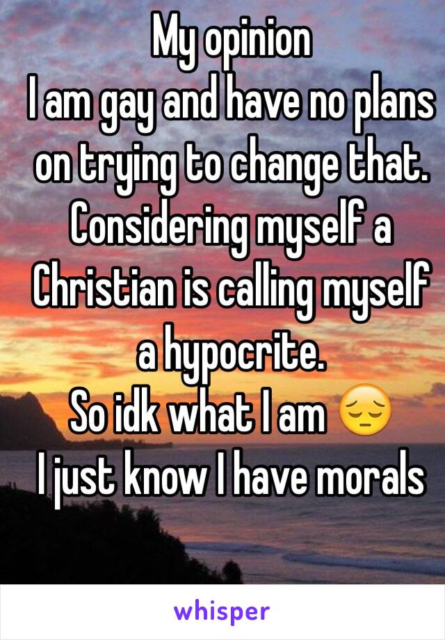 My opinion
I am gay and have no plans on trying to change that. 
Considering myself a Christian is calling myself a hypocrite.
So idk what I am 😔
I just know I have morals