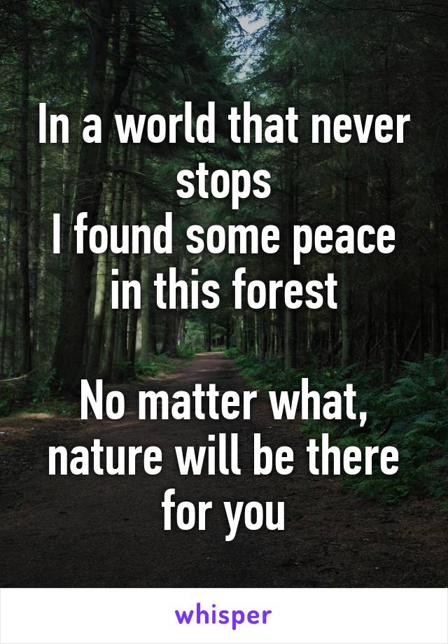 In a world that never stops
I found some peace in this forest

No matter what, nature will be there for you