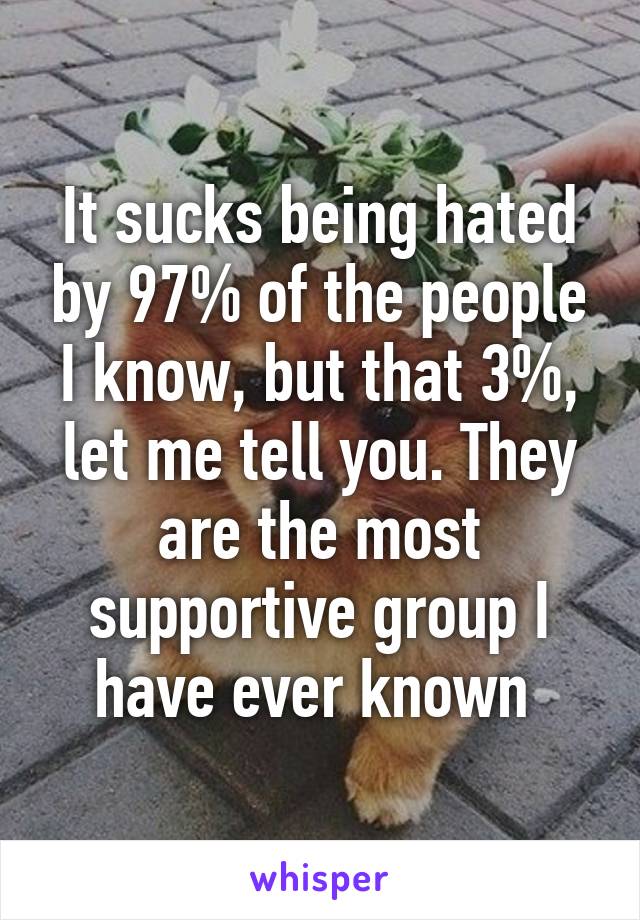 It sucks being hated by 97% of the people I know, but that 3%, let me tell you. They are the most supportive group I have ever known 