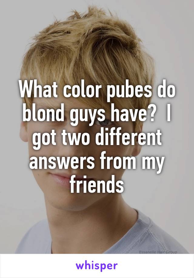 What color pubes do blond guys have?  I got two different answers from my friends