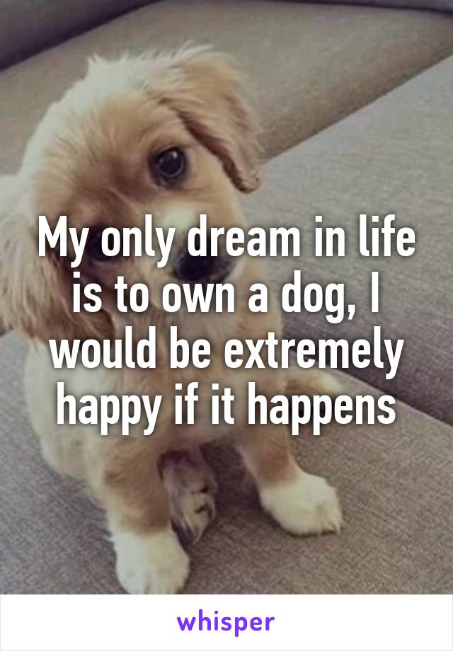 My only dream in life is to own a dog, I would be extremely happy if it happens