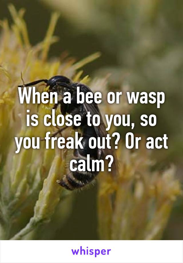 When a bee or wasp is close to you, so you freak out? Or act calm?