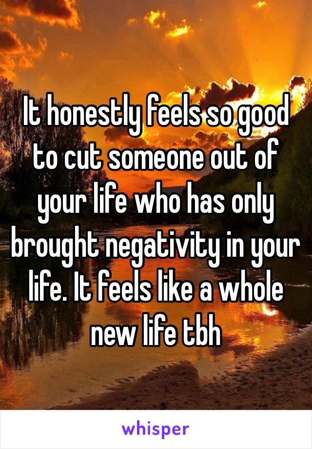 It honestly feels so good to cut someone out of your life who has only brought negativity in your life. It feels like a whole new life tbh