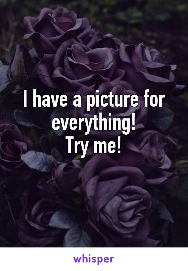 I have a picture for everything!
Try me!
