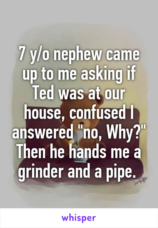 7 y/o nephew came up to me asking if Ted was at our house, confused I answered "no, Why?" Then he hands me a grinder and a pipe. 