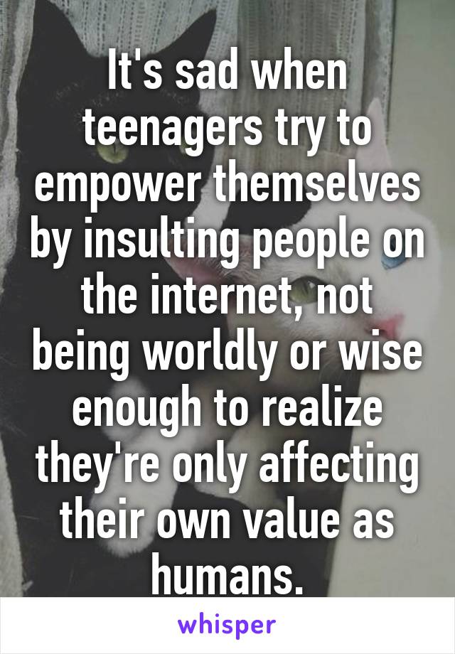 It's sad when teenagers try to empower themselves by insulting people on the internet, not being worldly or wise enough to realize they're only affecting their own value as humans.