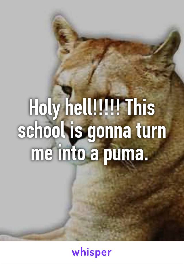 Holy hell!!!!! This school is gonna turn me into a puma. 