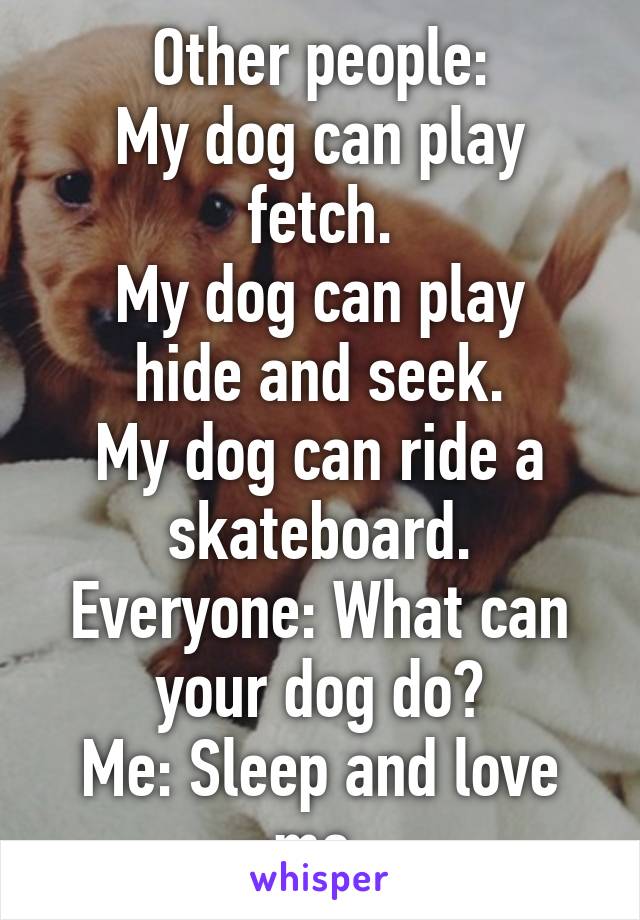 Other people:
My dog can play fetch.
My dog can play hide and seek.
My dog can ride a skateboard.
Everyone: What can your dog do?
Me: Sleep and love me.