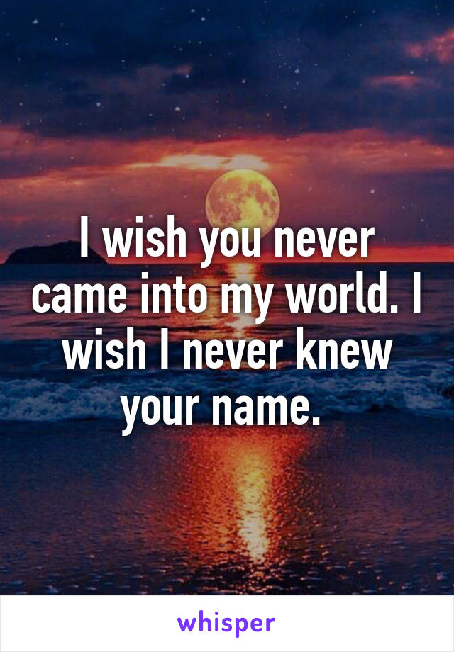 I wish you never came into my world. I wish I never knew your name. 