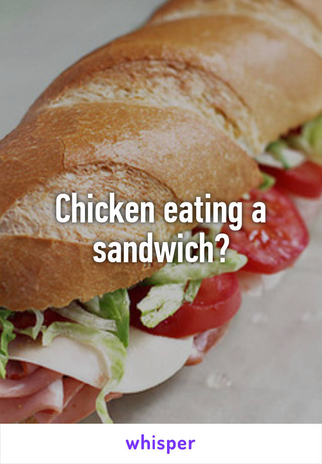 Chicken eating a sandwich?