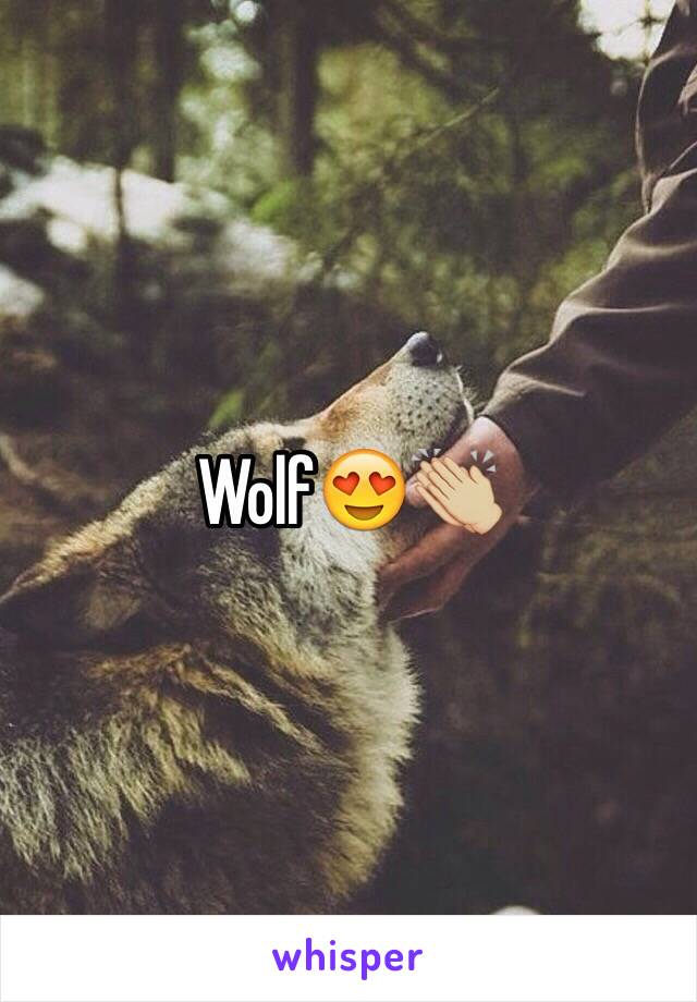 Wolf😍👏🏼