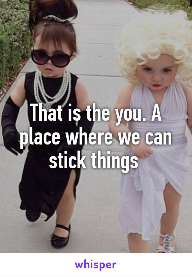 That is the you. A place where we can stick things 