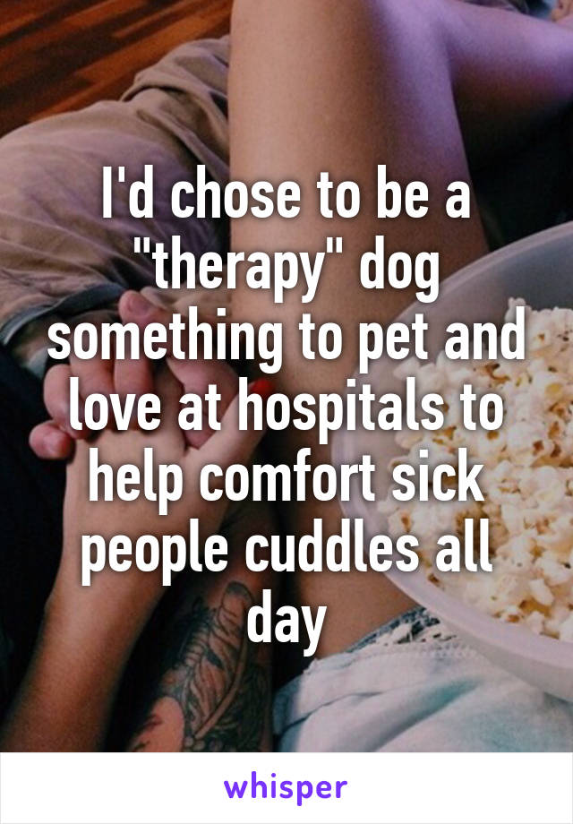 I'd chose to be a "therapy" dog something to pet and love at hospitals to help comfort sick people cuddles all day