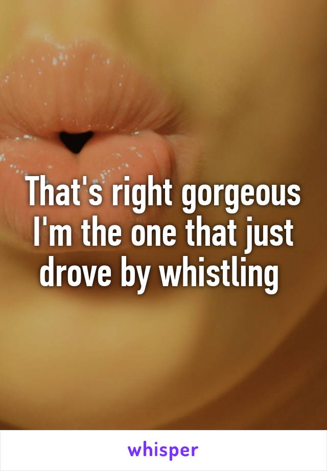 That's right gorgeous I'm the one that just drove by whistling 