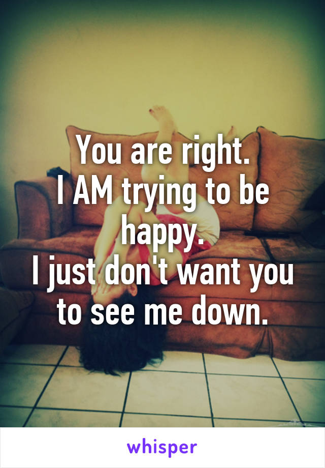 You are right.
I AM trying to be happy.
I just don't want you to see me down.