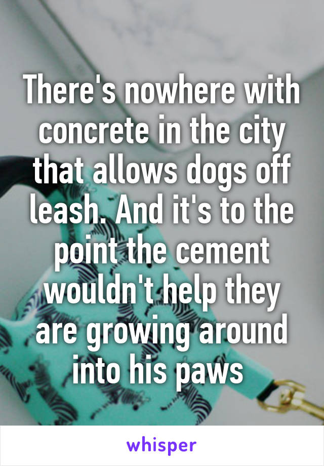 There's nowhere with concrete in the city that allows dogs off leash. And it's to the point the cement wouldn't help they are growing around into his paws 