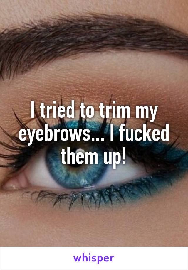 I tried to trim my eyebrows... I fucked them up!