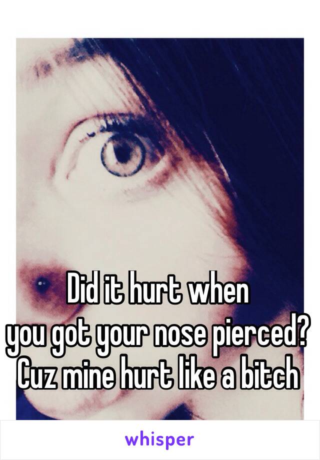 Did it hurt when
you got your nose pierced?
Cuz mine hurt like a bitch
