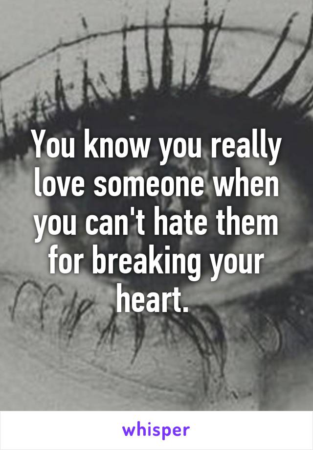 You know you really love someone when you can't hate them for breaking your heart. 