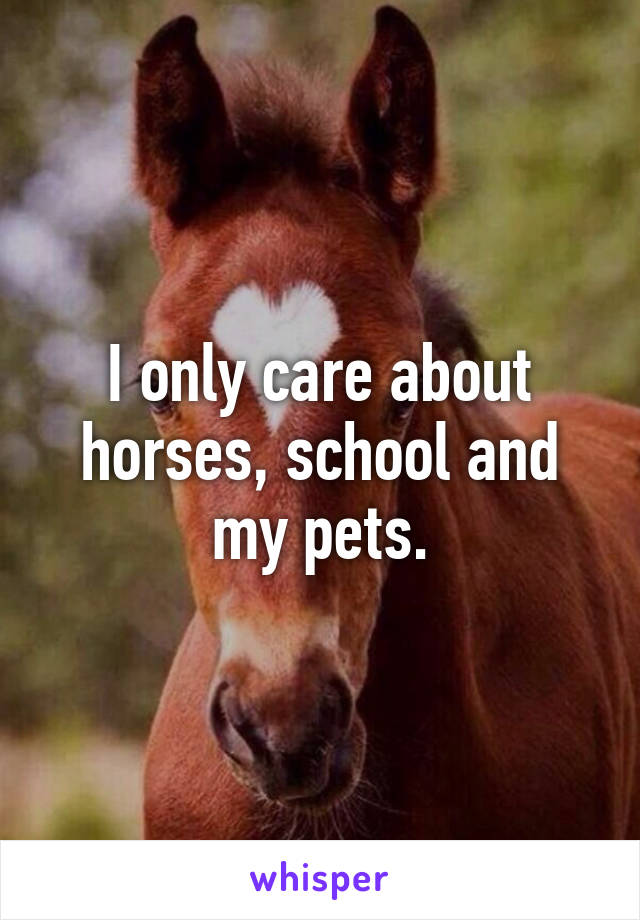 I only care about horses, school and my pets.