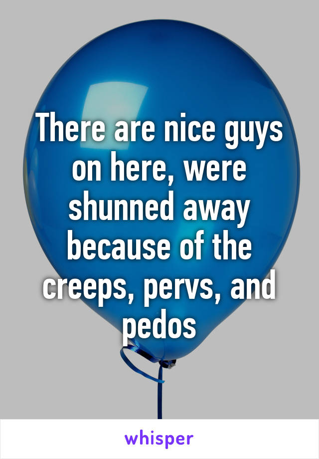 There are nice guys on here, were shunned away because of the creeps, pervs, and pedos