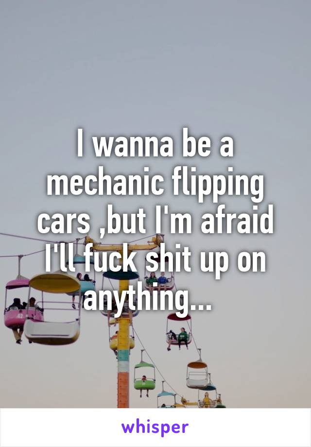 I wanna be a mechanic flipping cars ,but I'm afraid I'll fuck shit up on anything...  