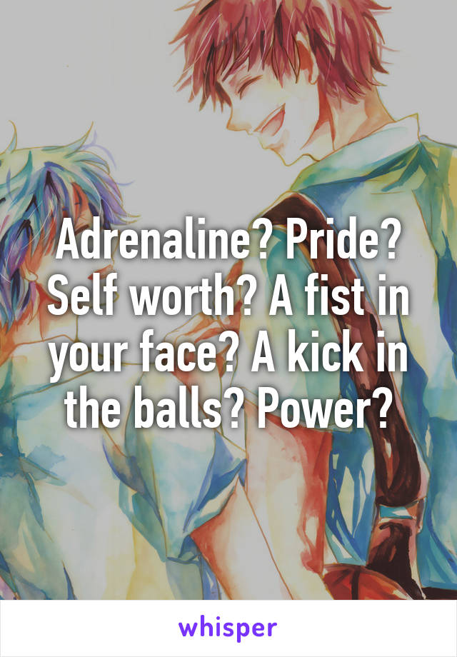 Adrenaline? Pride? Self worth? A fist in your face? A kick in the balls? Power?