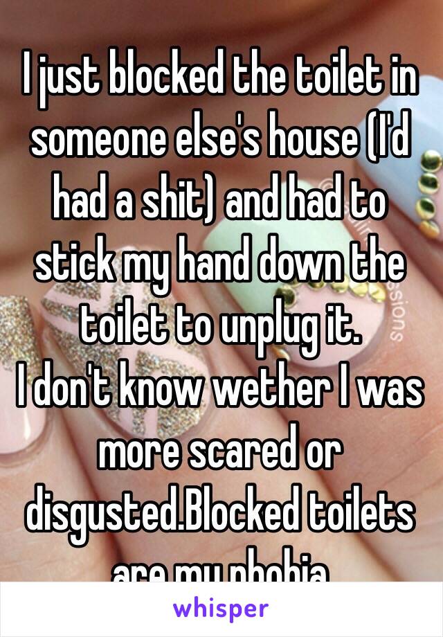 I just blocked the toilet in someone else's house (I'd had a shit) and had to stick my hand down the toilet to unplug it. 
I don't know wether I was more scared or disgusted.Blocked toilets are my phobia 