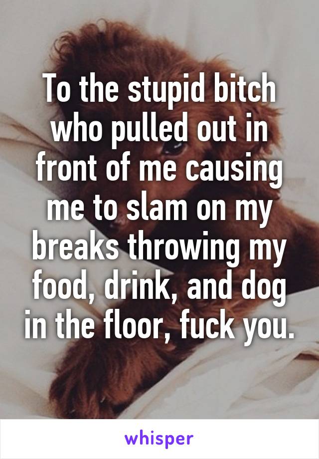 To the stupid bitch who pulled out in front of me causing me to slam on my breaks throwing my food, drink, and dog in the floor, fuck you. 