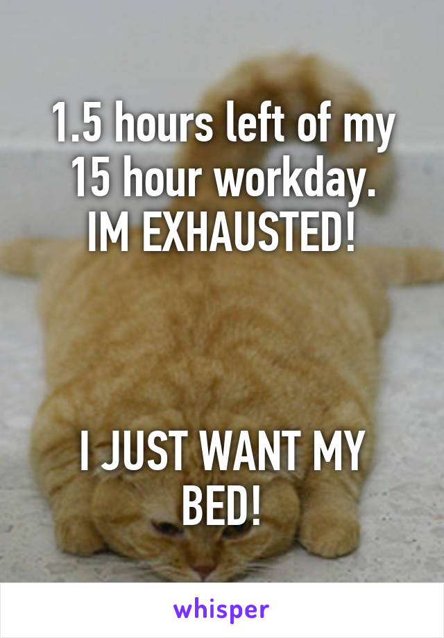 1.5 hours left of my 15 hour workday.
IM EXHAUSTED!



I JUST WANT MY BED!