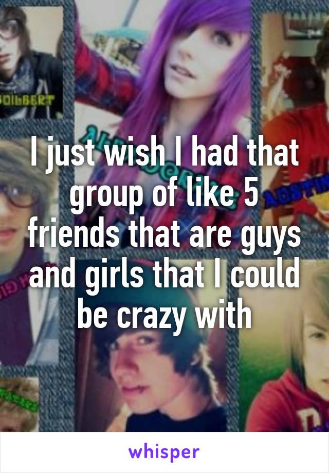 I just wish I had that group of like 5 friends that are guys and girls that I could be crazy with