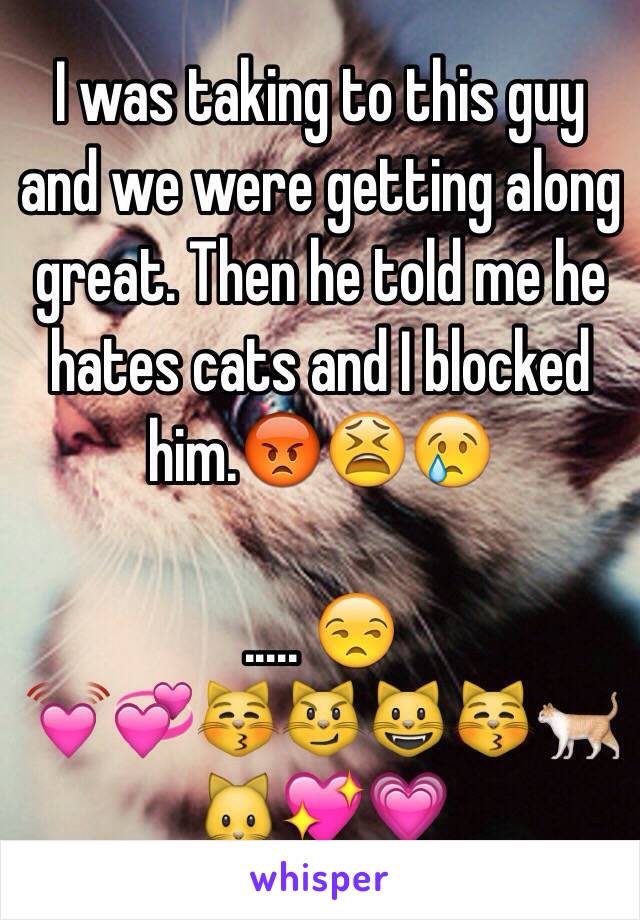 I was taking to this guy and we were getting along great. Then he told me he hates cats and I blocked him.😡😫😢

..... 😒
💓💞😽😼😺😽🐈🐱💖💗